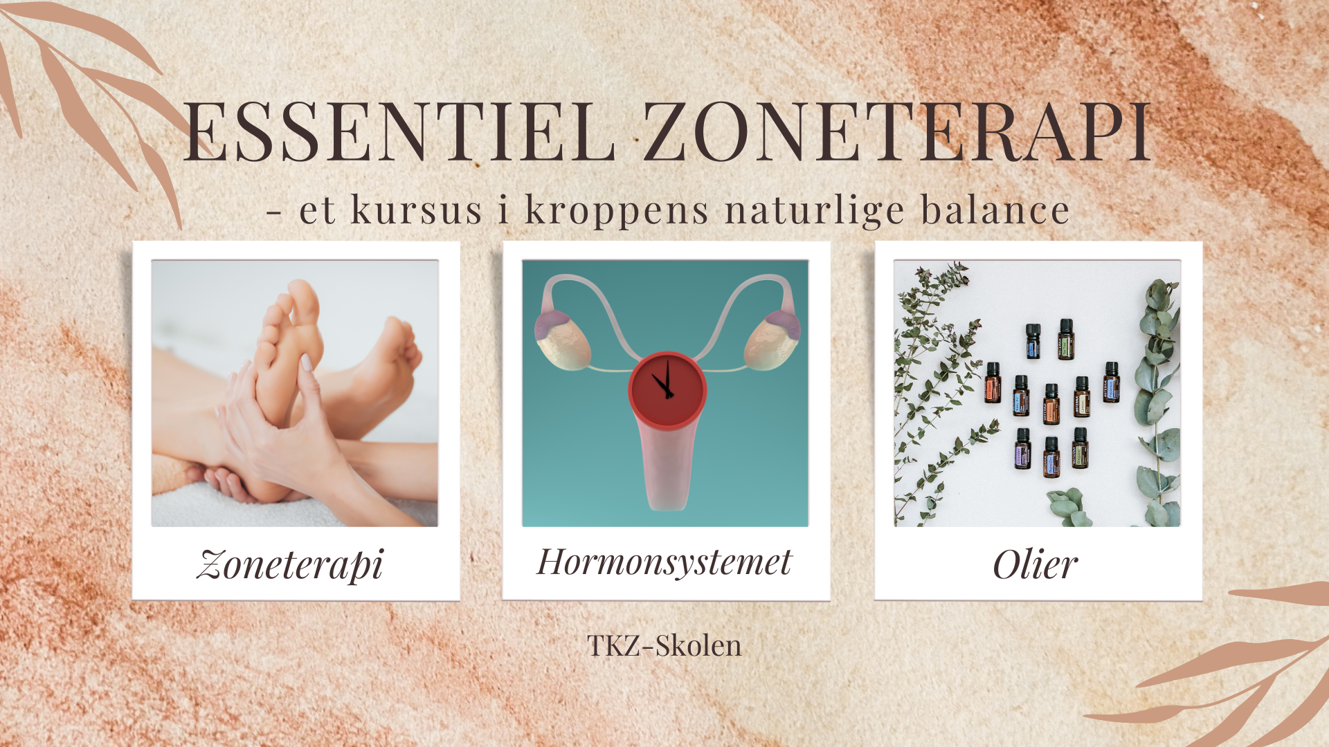 Essentiel zoneterapi - hormoner