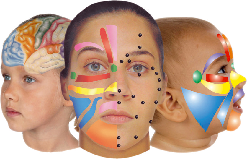 Logo Ansigtszone- og Refleksterapi